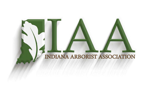 iaa logo
