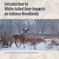 introduction to deer pub cover
