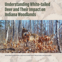 understanding deer pub cover