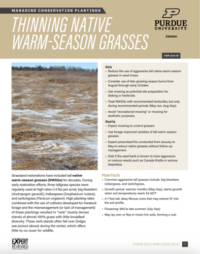The first page of the Thinning Native Warm-Season Grasses publication.